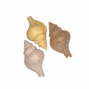 Aroma ornament - schelp D