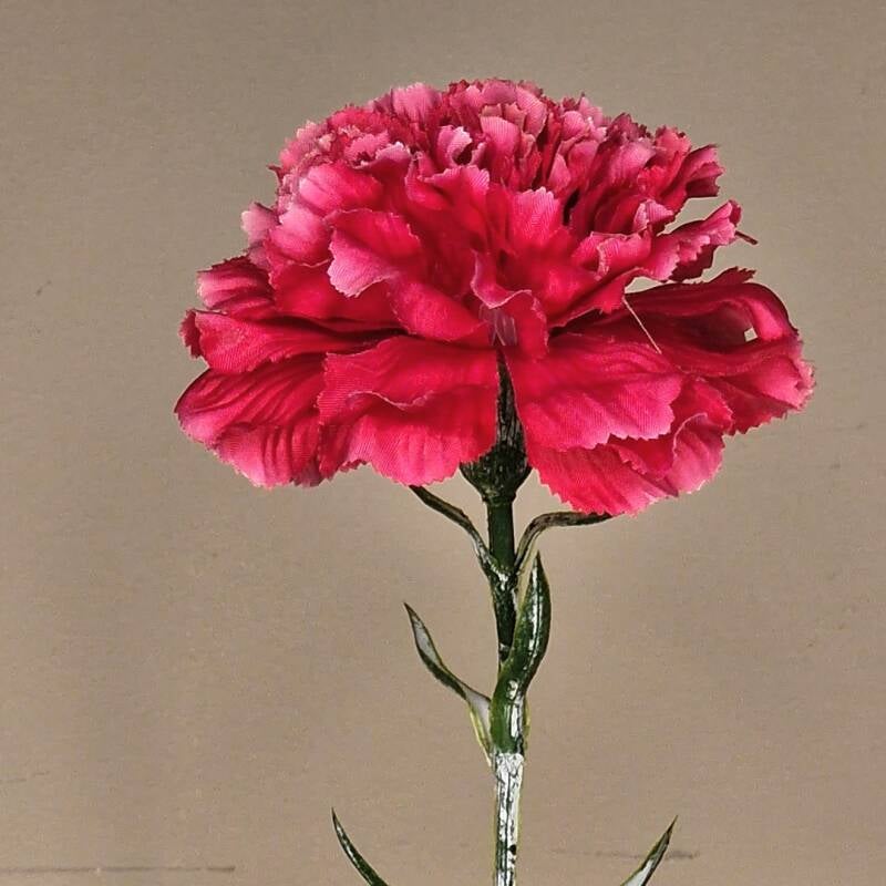 Zijdebloem - dianthus (anjer) spray /