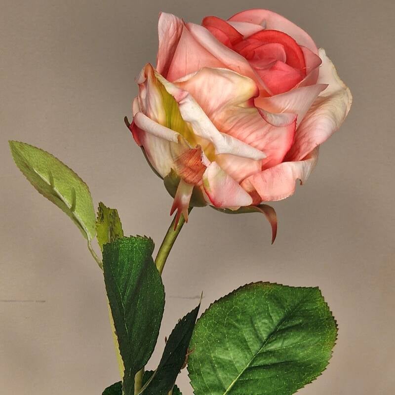 Zijdebloem - roos pink /