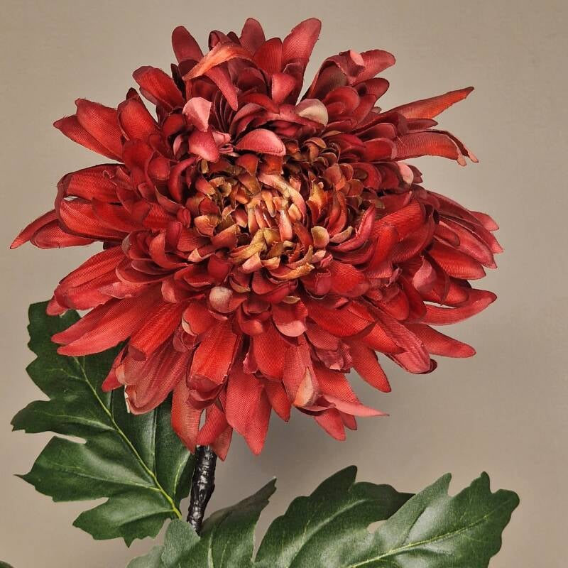 Zijdebloem - chrysant deco red /