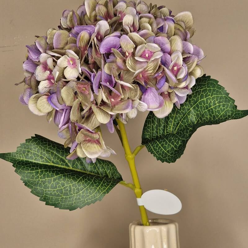 Zijdebloem - hydrangea (hortensia) / L