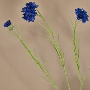 Zijdebloem - cornflower (korenbloem)