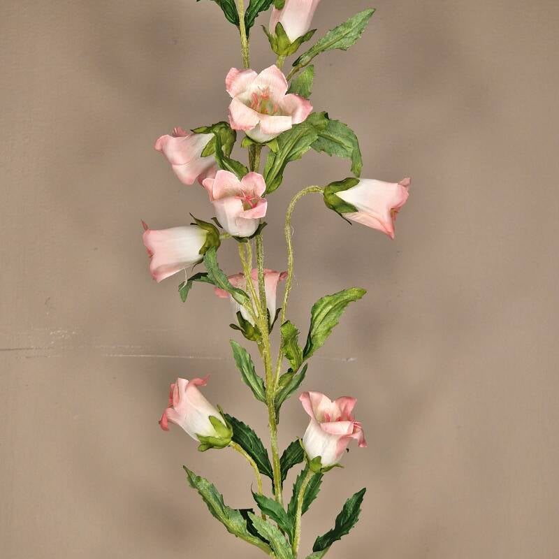 Zijdebloem - campanula (klokje) pink light /