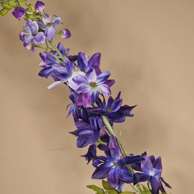 Zijdebloem - delphinium (ridderspoor)