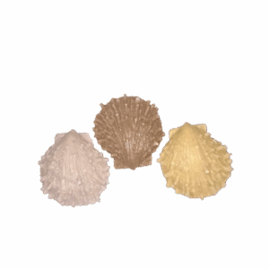 Aroma ornament - schelp C