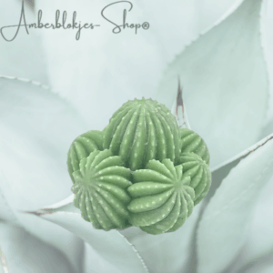 Aroma ornament - succulent/2