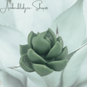 Aroma ornament - succulent/1