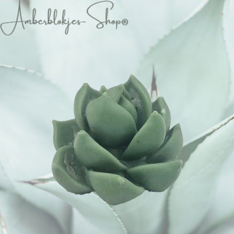 Aroma ornament - succulent/1