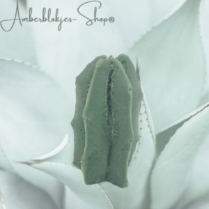 Aroma ornament - succulent/5
