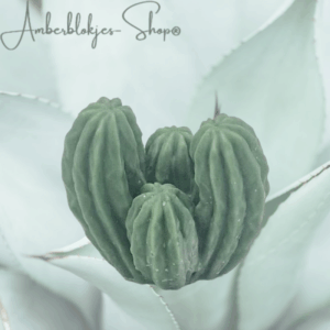 Aroma ornament - succulent/4