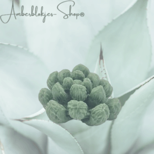 Aroma ornament - succulent/3