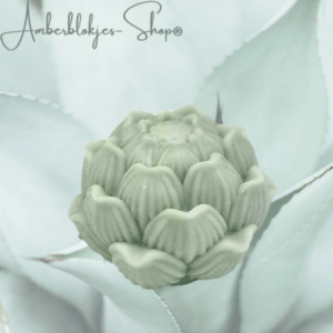 Aroma ornament - succulent/6