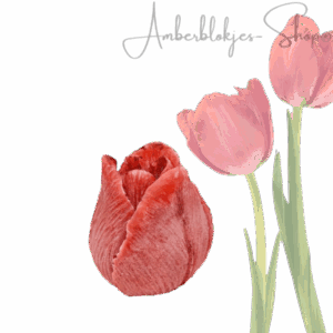 aroma ornaments - 3D tulpenknop