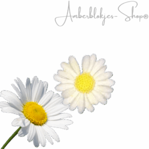 aroma ornaments - madelief