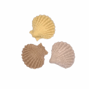 Aroma ornament - schelp E