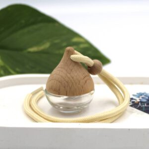 Atmosphere - car diffuser hanger