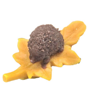 egel op blad - zakelijk