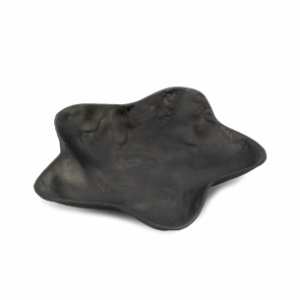 schaaltje schelp - ster - zwart