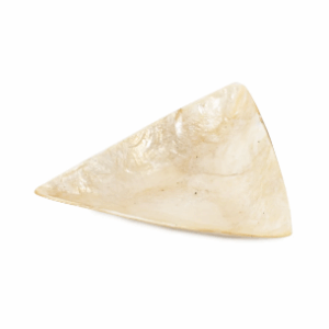 schaaltje schelp - driehoek - goud