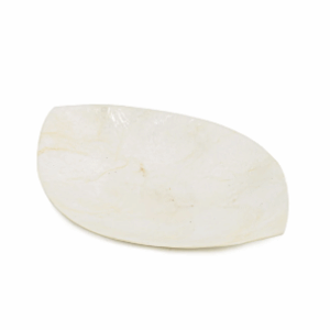 schaaltje schelp - ovaal - wit